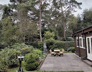 Guest house 320853 - Holiday property Veluwe - Huisje in Emst