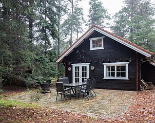 Buitenruimte van Vakantiehuisje in Emst met bosrijk uitzicht