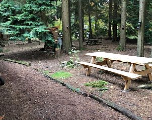 Picknickplek bij Vakantiehuisje in Emst, Veluwe, Gelderland
