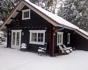 Besneeuwde omgeving van Vakantiehuisje in Emst, Veluwe