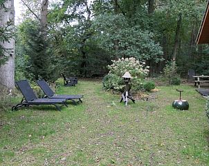 Rustgevende tuin bij Vakantiehuis in Emst, Veluwe, Gelderland, met ligstoelen en groene natuur voor een ontspannen verblijf.