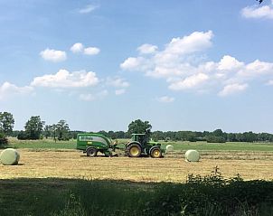 Unterkunft 320859 - Ferienhaus Veluwe - Vakantiehuisje in Emst