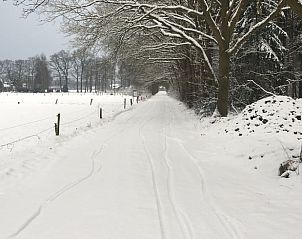 Unterkunft 320859 - Ferienhaus Veluwe - Vakantiehuisje in Emst
