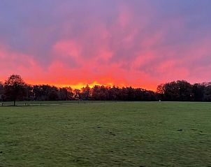 Unterkunft 320859 - Ferienhaus Veluwe - Vakantiehuisje in Emst