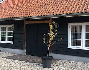 Unterkunft 320859 - Ferienhaus Veluwe - Vakantiehuisje in Emst