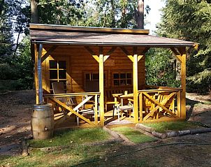 Veranda van houten huisje bij Vakantiehuisje in Emst, omgeven door natuur.
