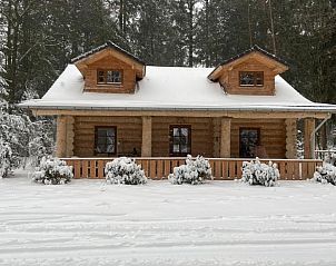 Attractive cottage in Emst, Veluwe, Gelderland, surrounded by winter nature and snowy forests, ideal for a cozy escape.