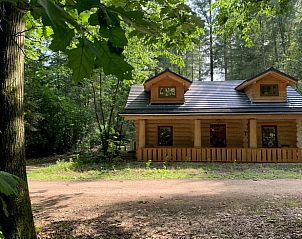 Vacation cottage in Emst, Veluwe, Gelderland, surrounded by lush nature, offers a rustic stay in a charming wooden cottage.