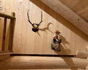 Guest house 320878 - Holiday property Veluwe - Vakantiehuisje in Emst