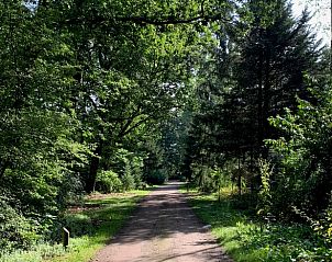 Guest house 320878 - Holiday property Veluwe - Vakantiehuisje in Emst