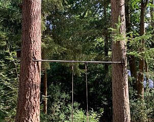 Guest house 320878 - Holiday property Veluwe - Vakantiehuisje in Emst