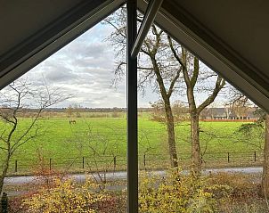 Guest house 320882 - Holiday property Veluwe - Vakantiehuis in Emst