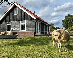 Unterkunft 320888 • Ferienhaus Veluwe • Huisje in Emst 