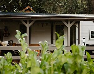 Verblijf 320890 - Chalet Veluwe - Het Goudhaantje Emst