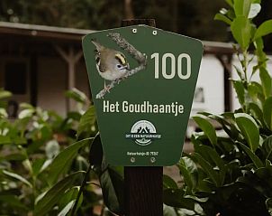 Verblijf 320890 - Chalet Veluwe - Het Goudhaantje Emst