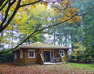 Unterkunft 3209102 - Ferienhaus Veluwe - Huisje in Ermelo