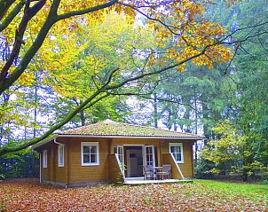 Unterkunft 3209102 - Ferienhaus Veluwe - Huisje in Ermelo