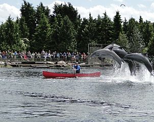 Unterkunft 3209102 - Ferienhaus Veluwe - Huisje in Ermelo