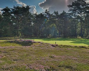 Unterkunft 3209105 - Ferienhaus Veluwe - Vakantiehuisje in Ermelo