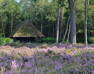 Unterkunft 3209105 - Ferienhaus Veluwe - Vakantiehuisje in Ermelo