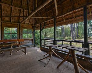 Unterkunft 3209105 - Ferienhaus Veluwe - Vakantiehuisje in Ermelo