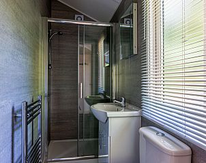 Unterkunft 3209108 - Ferienhaus Veluwe - Forest Cottage