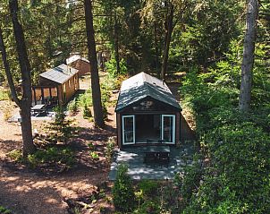 Unterkunft 3209108 - Ferienhaus Veluwe - Forest Cottage