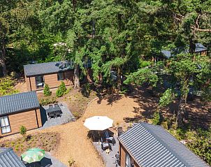 Unterkunft 3209108 - Ferienhaus Veluwe - Forest Cottage