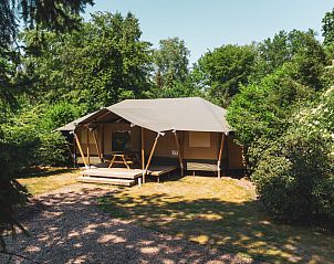 Unterkunft 3209111 - Zelthaus Veluwe - Glamping Tent