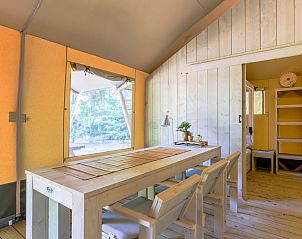 Unterkunft 3209111 - Zelthaus Veluwe - Glamping Tent