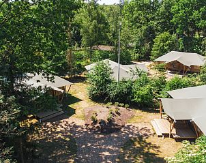 Unterkunft 3209111 - Zelthaus Veluwe - Glamping Tent