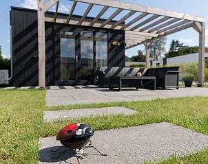 Verblijf 3209124 - Vakantiewoning Veluwe - Kukeluusje Ermelo