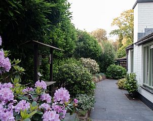 Guest house 3209137 - Holiday property Veluwe - Huisje in Ermelo