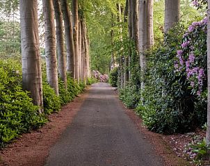 Guest house 3209137 - Holiday property Veluwe - Huisje in Ermelo