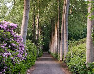 Guest house 3209137 - Holiday property Veluwe - Huisje in Ermelo