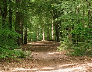 Guest house 3209137 - Holiday property Veluwe - Huisje in Ermelo