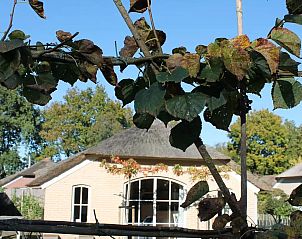 Guest house 3209151 - Holiday property Veluwe - Parc Veluwerijck 20, Veluwsboerderij