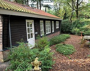 Verblijf 3209158 - Bungalow Veluwe - Vakantiehuisje op de Veluwe