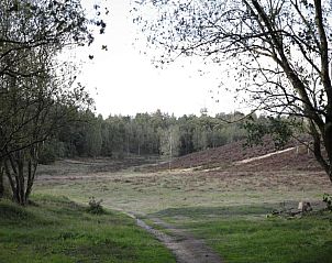 Verblijf 3209162 - Vakantiewoning Veluwe - Heivlinder 4p