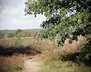 Verblijf 3209162 - Vakantiewoning Veluwe - Heivlinder 4p