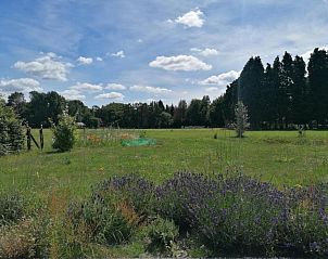 Verblijf 3209162 - Vakantiewoning Veluwe - Heivlinder 4p