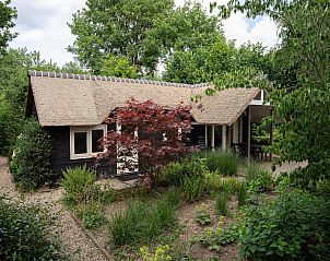 Guest house 3209163 - Holiday property Veluwe - Heivlinder 4+2p