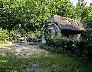 Verblijf 3209164 - Vakantiewoning Veluwe - Vlindervallei Boshuis 16p