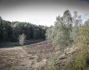 Verblijf 3209165 - Vakantiewoning Veluwe - Vlindervallei Studio 2p