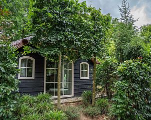 Verblijf 3209167 - Vakantiewoning Veluwe - Heivlinder Comfort 4+2p