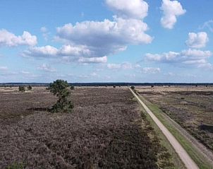 Verblijf 3209167 - Vakantiewoning Veluwe - Heivlinder Comfort 4+2p