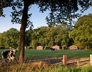 Verblijf 320919 - Vakantiewoning Veluwe - Huisje in Ermelo