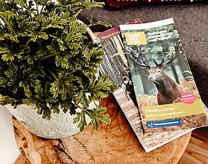 Guest house 320920 - Holiday property Veluwe - Huisje in Ermelo