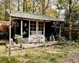 Guest house 320920 - Holiday property Veluwe - Huisje in Ermelo