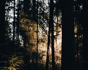 Guest house 320920 - Holiday property Veluwe - Huisje in Ermelo